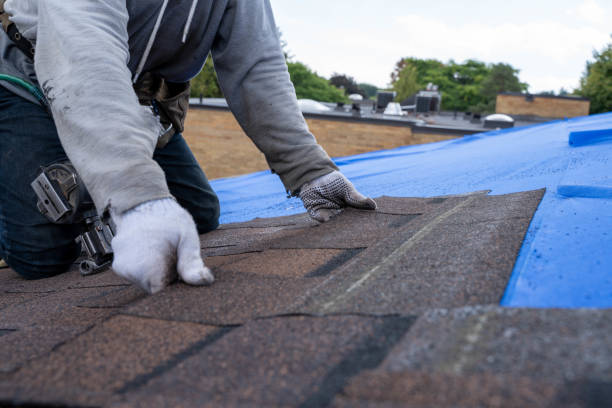 Best Metal Roofing Contractor  in Whitley City, KY